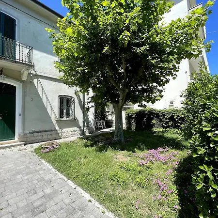 Santina Rimini